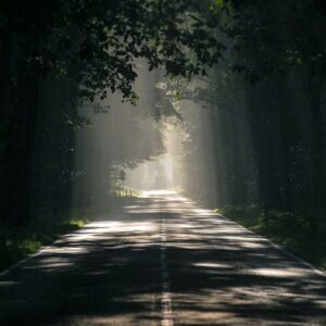 Work With Me Couple's Guidance